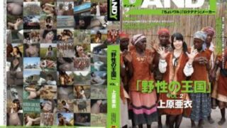 Uncensored DANDY-368