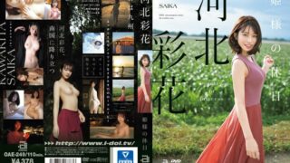 OAE-249 Princess Holiday Ayaka Kawakita