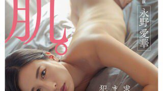 HSODA-017 Sister skin. Forgive and be violated as requested. Aika Nagano