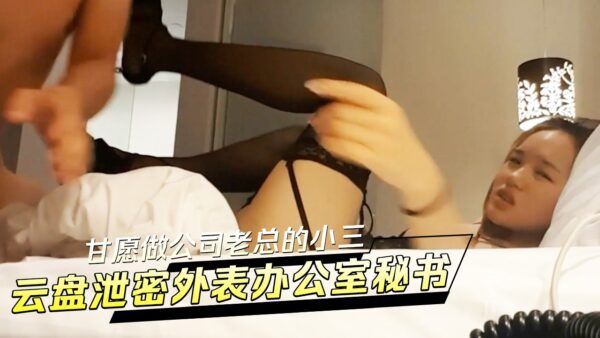 It seems that the office secretary is willing to be the mistress of the company boss