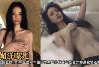 The contrast bitch wanted to get a green card but was arrested by a foreigner who refused to recognize her and was exposed