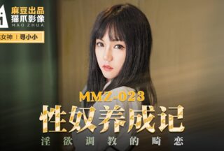 MMZ023 Sex Slave Training Diary