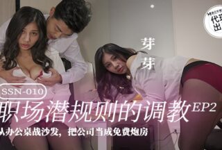 The Training of Hidden Rules in the Workplace EP2 From the Desk to the Sofa