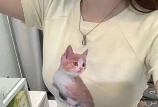 The best girl from Shanghai Theatre Academy, white and tender, just wants to be fucked to death