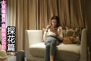 Big Strawberry Treasure Trove High-Value Explorer Chapter