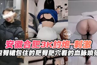 Passionate hookup – Get a top model for 3,000 yuan, her body.