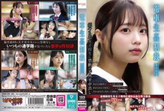 YDNS-009 電車生姦制裁 ＃009